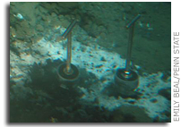 Methane-eating microbes can use iron and manganese oxides to ‘breathe’