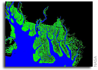 NASA researcher nets first measure of Africa’s coastal forests