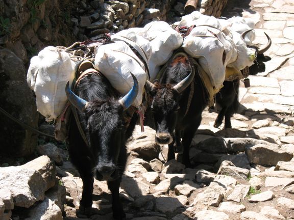 Keith Cowing Reporting from Nepal and Everest