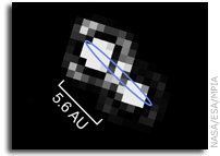 Brown Dwarfs Don’t Hang Out With Stars