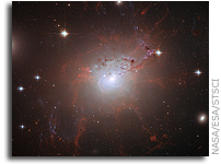 Suzaku Orbiting X-ray Observatory Spies Treasure Trove of Intergalactic Metal