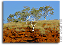 Ancient Ocean Oxygen Production Began 100 Million Years Earlier than Thought