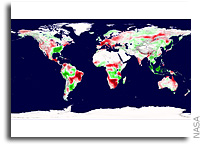 Drought Drives Decade-Long Decline in Plant Growth