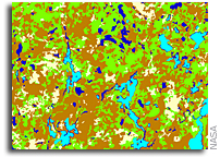 NASA Technology May Aid Interpretation Of Medical Imagery