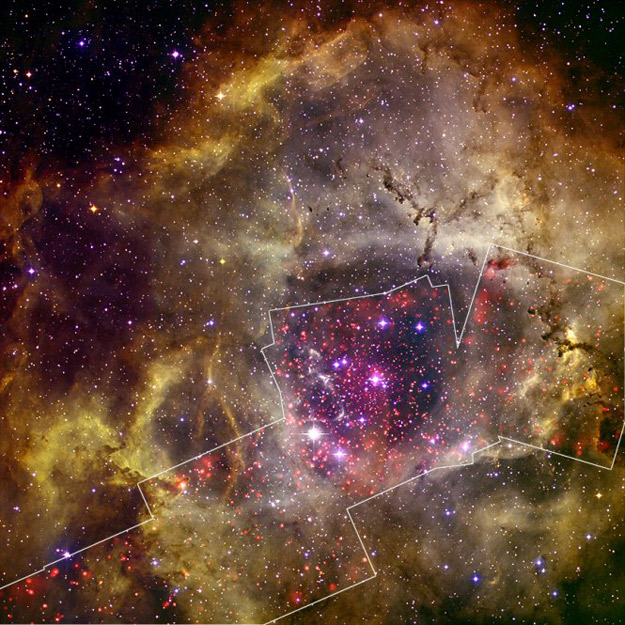 Chandra Views the'Heart of a Rose