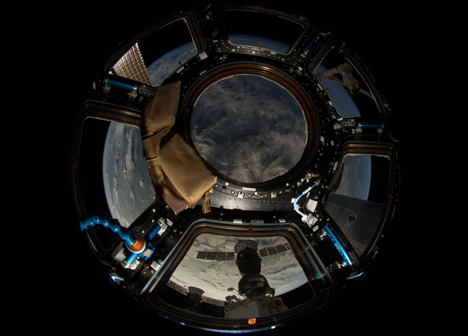 Looking Out of the Cupola