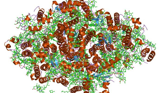 Studying Metabolism in Mixed Cultures