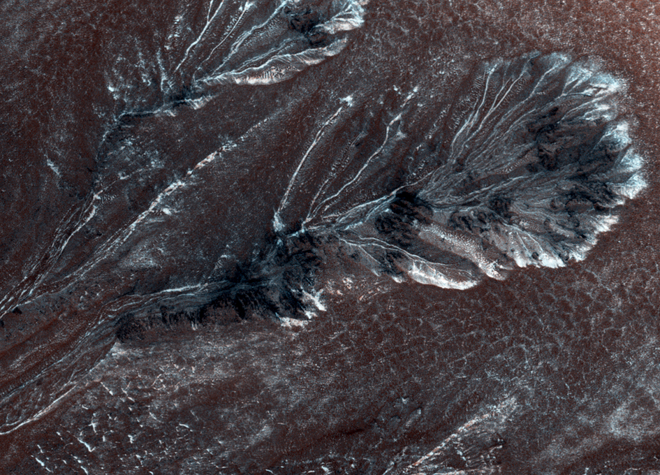 Frosty Gullies on the Northern Plains of Mars