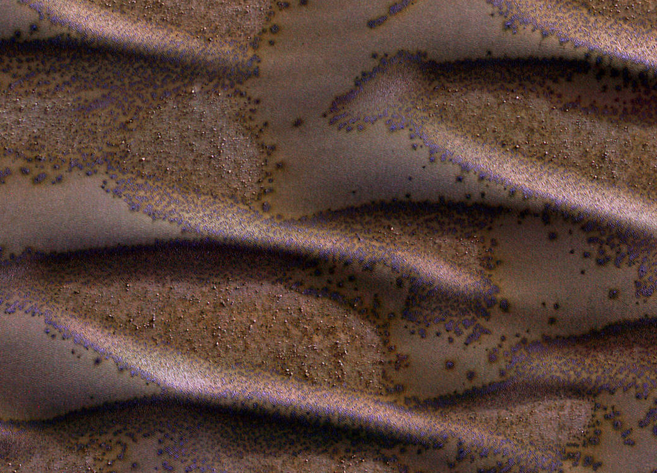 Frosted Dunes on Mars