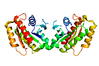 CASIS Announces Significant ISS News But Forgets To Mention NASA