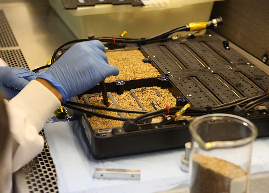 Preparing Plants Seeds For Space Station Research