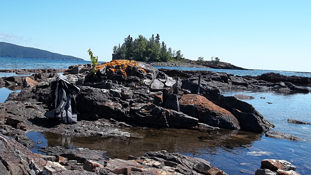 Did Life Start More Than Once On Earth Astrobiology