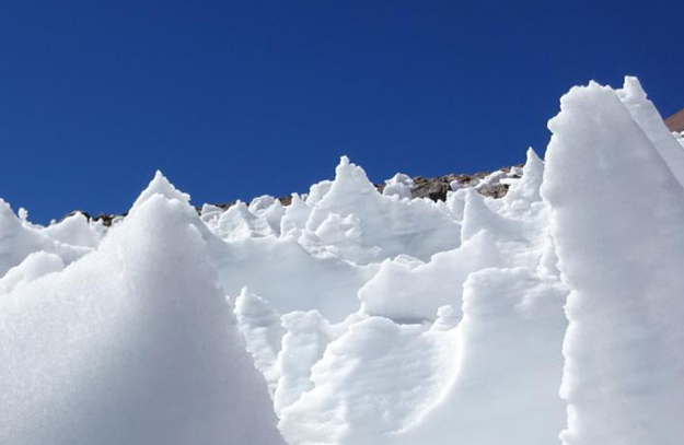 Snow Algae Thrive In High-elevation Ice Spires, An Unlikely Oasis For Life