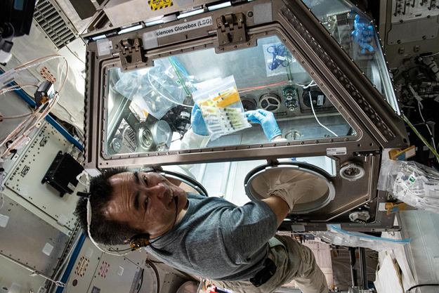 Astronauts Initiate Tardigrade Experiment on ISS