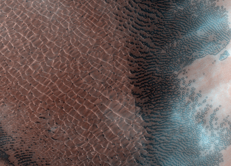 Dynamic Dunes On Mars