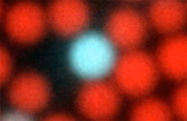 Physicists Discover How Particles Self-assemble