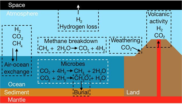 Predicting Biosignatures For Nutrient Limited Biospheres