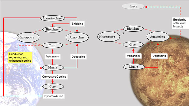 The Long-term Evolution Of The Atmosphere Of Venus: Processes And Feedback Mechanisms