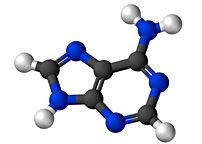 Searching for Interstellar Adenine