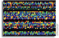 NASA Scientists Create a Gene Map for Healthier Kidneys