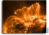 Stellar Magnetism, Winds and Their Effects on Planetary Environments